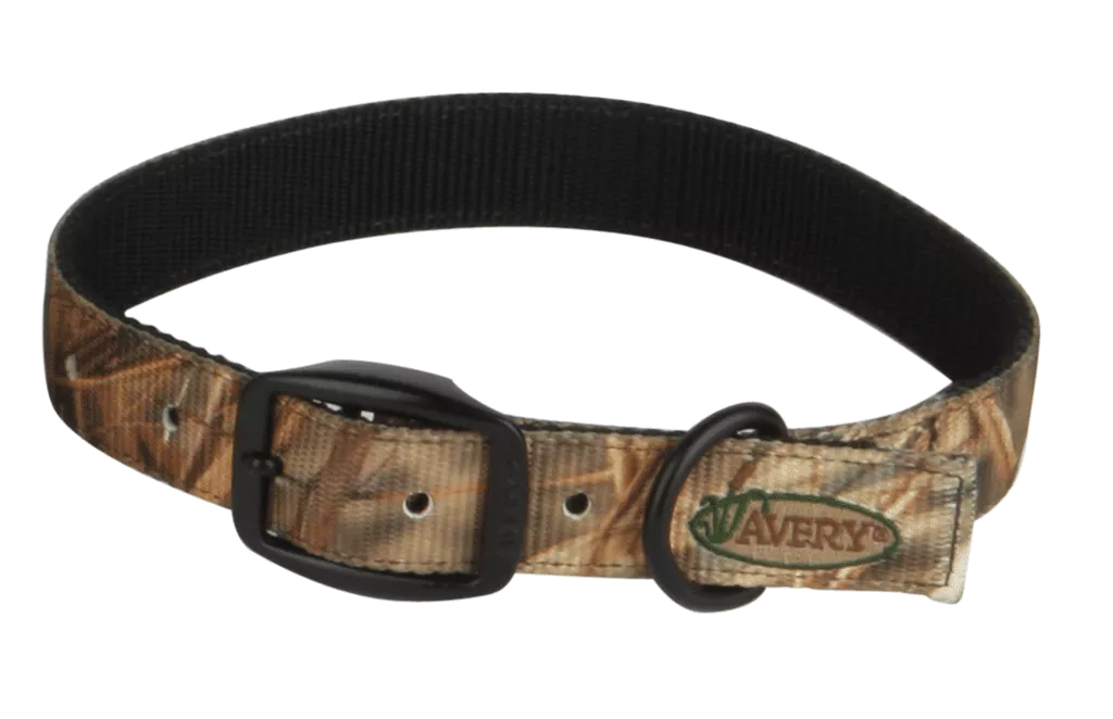 Avery Standard Dog Collar