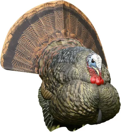 Avian X LCD Strutter Jake Turkey Standing Hunting Decoy Carry Bag USED