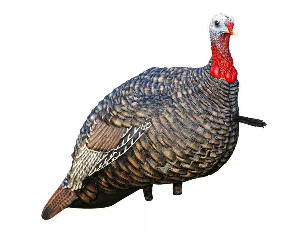 Avian-X Quarter Strut Jake Turkey Decoy