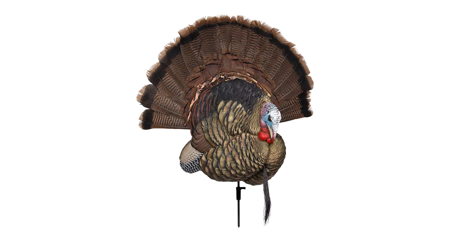 Avian-X Trophy Tom Turkey Decoy #AVX8021