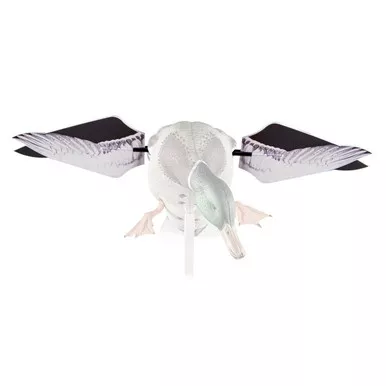 AvianX Powerflight Mallard Replacement Wings Only - AAVX-PMRW