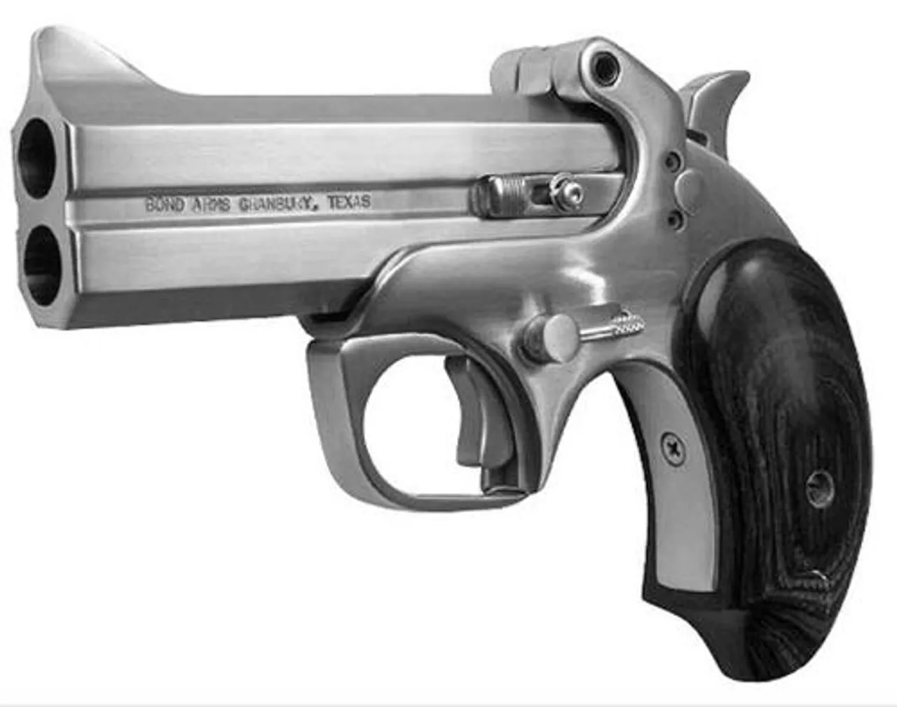 Bond Arms Texas Defender 45LC, 3″ Barrel