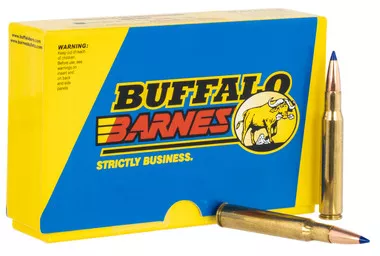 Buffalo Bore .40 S&W 140gr Barnes TAC-XP Lead Free JHP Ammunition - 20 Rounds