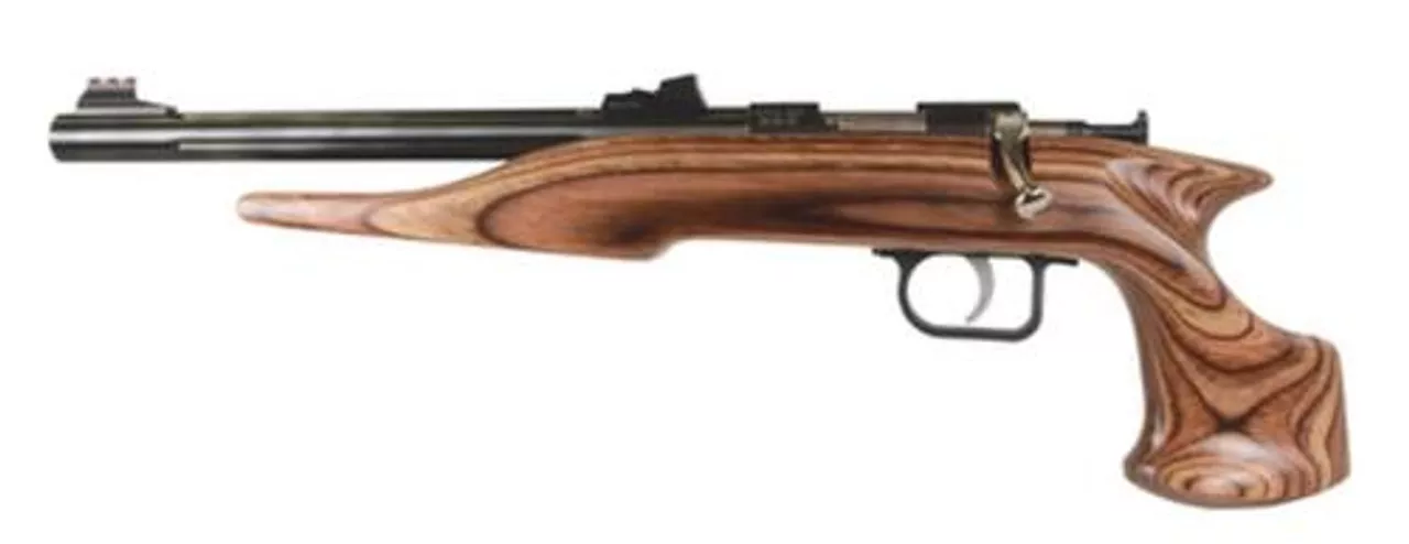 Chipmunk Silhouette Hunter 22LR 10.5 Inch Barrel Brown Laminate Stock TruGlo Sights Single Shot