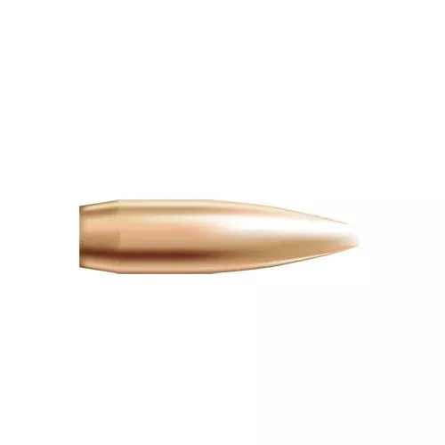 Custom Competition Hollow Point 53065