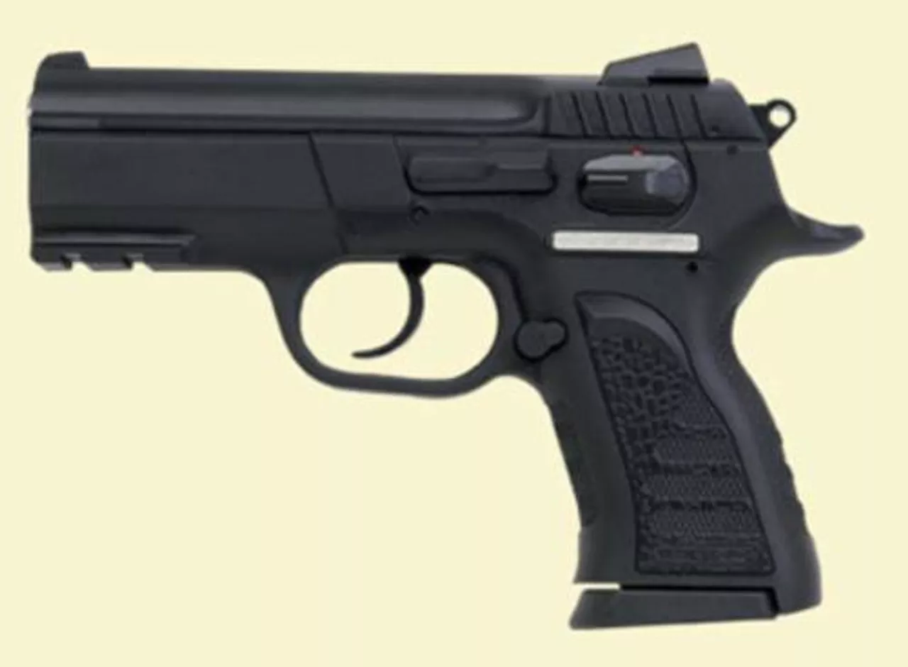 EAA Witness 45 ACP, Polymer Frame, Compact Size, 8 Rd Mags