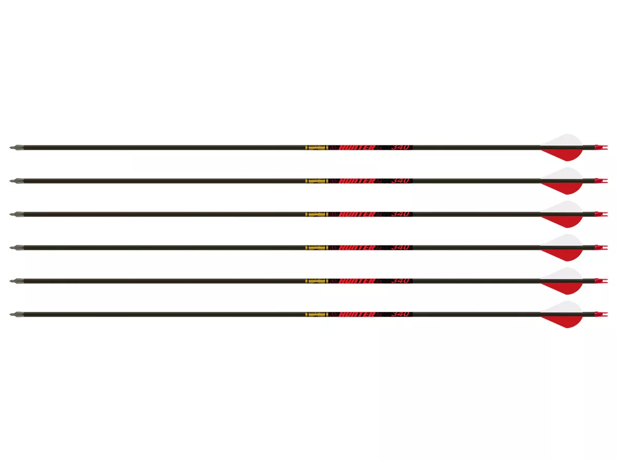 Gold Tip Hunter 500 Spine Arrows, 6 Pack