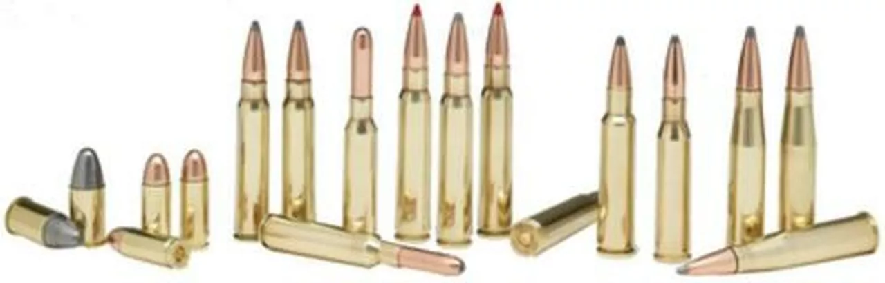 Hornady 7.5×55 Swiss 165gr, Boattail Spire Point 20rd Box