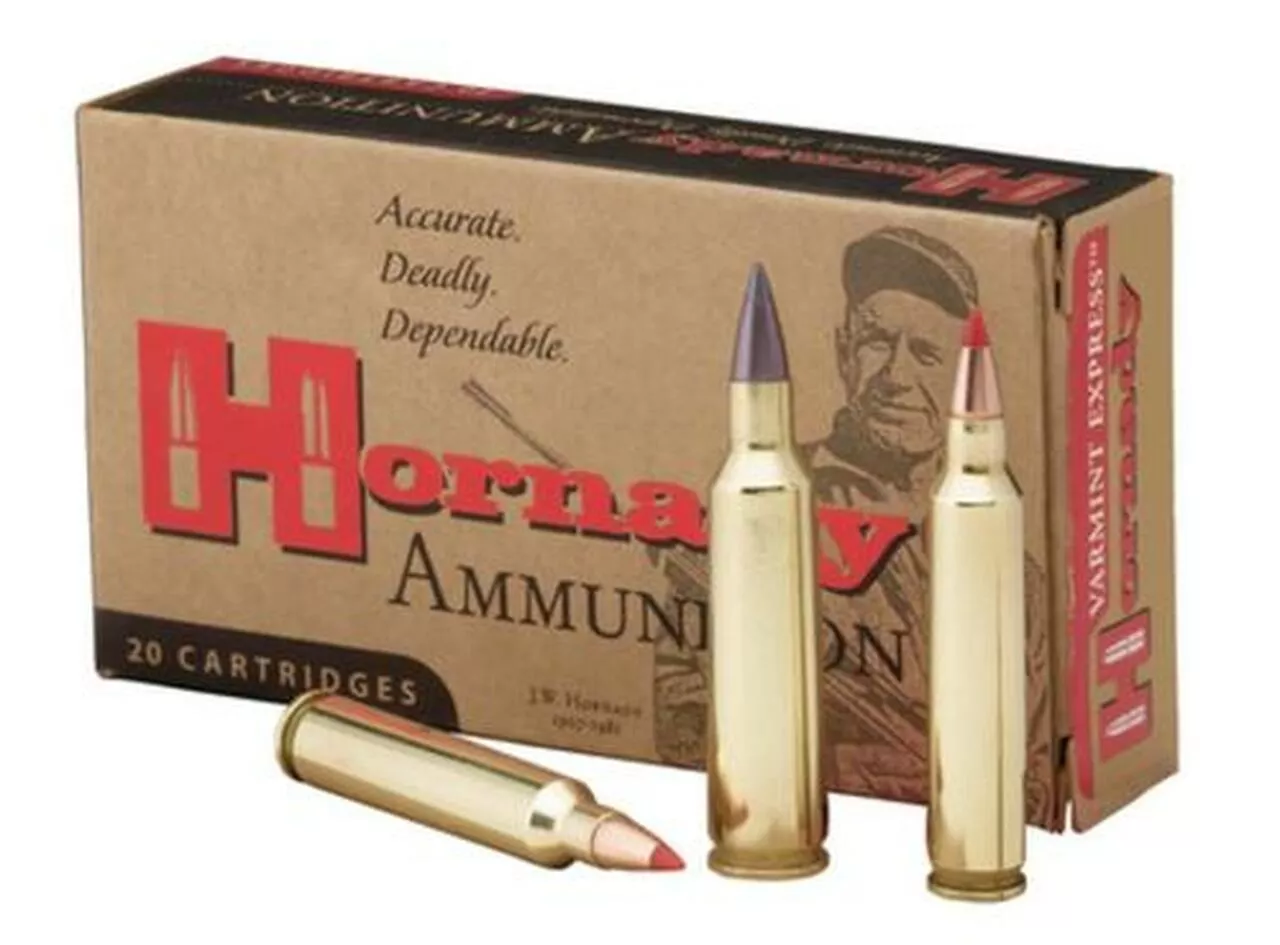 Hornady Varmint Express .204 Ruger 45 Grain Spire Point