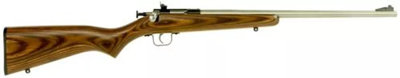 Keystone Crickett 22LR, 16.12″, Laminate Brown Stock, Stainless Steel