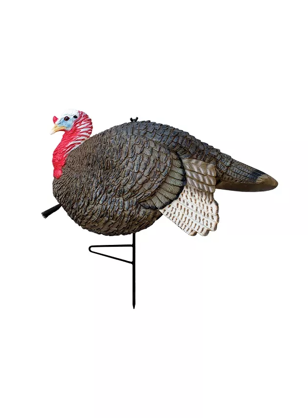 Primos Gobbstopper Jake Turkey Decoy #69066