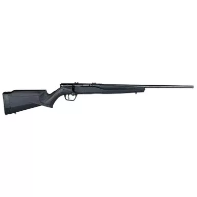Savage Arms B17 FV Bolt Action Rifle 17 HMR 21" Barrel Black