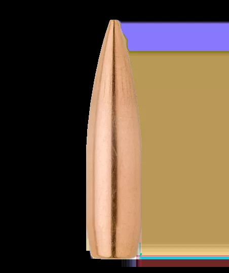 Sierra .308 169 gr HPBT MatchKing 10 Pack