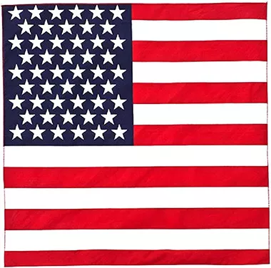 US Flag 21" x 22"